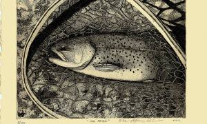 12357116_510170765831173_6950768661760983802_o