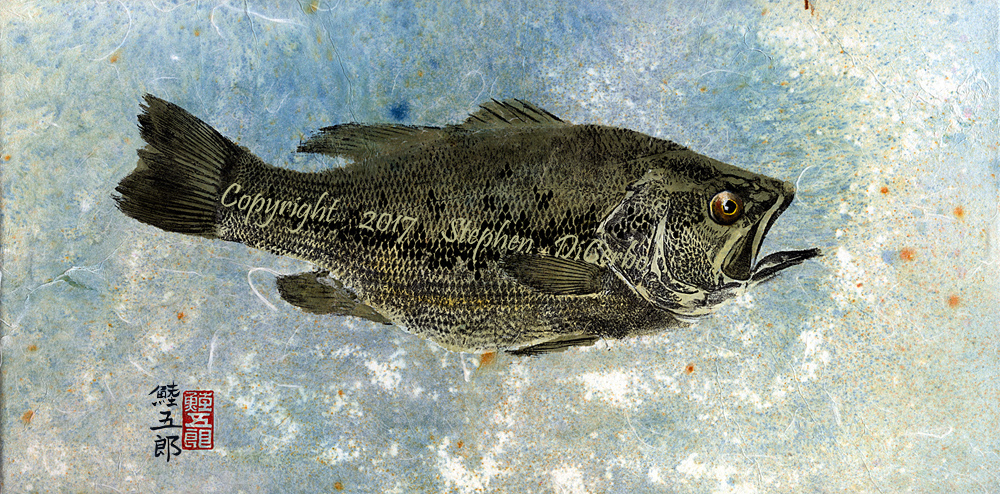 Champlain-Largemouth-1-lo-res-and-scarred-1000-pix