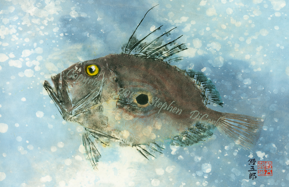 John-Dory-lo-res-and-scarred-1000-pix