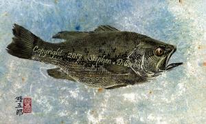 Champlain-Largemouth-1-lo-res-and-scarred-1000-pix