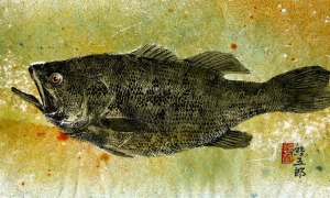 Champlain-Largemouth-4-lo-res-and-scarred-1000-pix