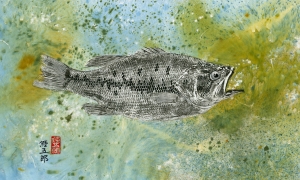 Greyscale-Largemouth-Bass-Direct-print-with-color-wash-background-lo-res-and-scarred-1000-pix