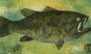 Lake-George-largemouth-1-lo-res-and-scarred-1200-pix