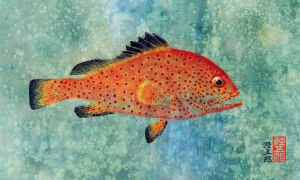 Red-Hind-1-lo-res-and-scarred-1000-pix