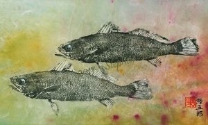 Seatrout-Pair-Direct--grayscale-lo-res-and-scarred-1000-pix