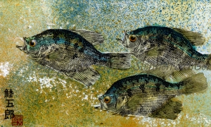 The-Gang-Champlain-Crappie-trio-2-lo-res-and-scarred-1000-pix