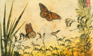 Adirondack-Monarch-Meadow-3-lo-resand-scarred-1200-pix