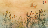 Adirondack-sunrise-meadow-lo-res-and-scarred-1000-pix