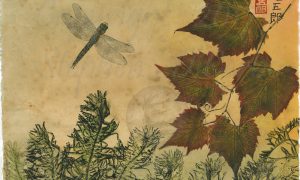 Shadow Darner flight 1