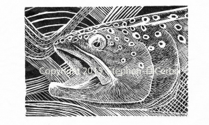 trout-dreams