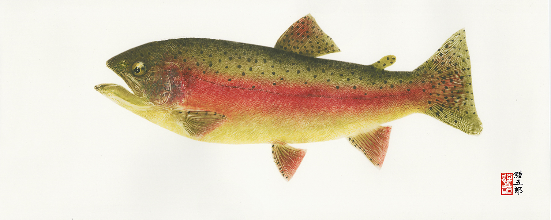 How to Fish for Rainbow Trout in Lakes: Master the Art!